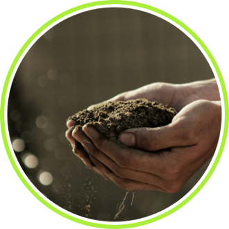 person_holding_soil_in_hand